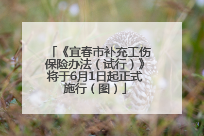 《宜春市补充工伤保险办法（试行）》将于6月1日起正式施行（图）