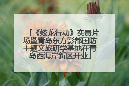 《蛟龙行动》实景片场暨青岛东方影都国防主题文旅研学基地在青岛西海岸新区开业