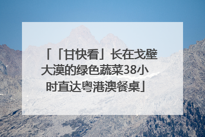 「甘快看」长在戈壁大漠的绿色蔬菜38小时直达粤港澳餐桌