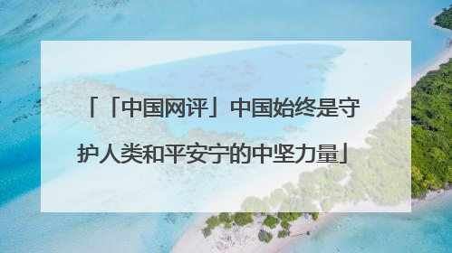 「中国网评」中国始终是守护人类和平安宁的中坚力量