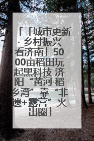 「城市更新· 乡村振兴看济南」5000亩稻田玩起黑科技 济阳“黄河·稻乡湾”靠“非遗+露营”火出圈