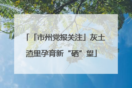 「市州党报关注」灰土渣里孕育新“硒”望