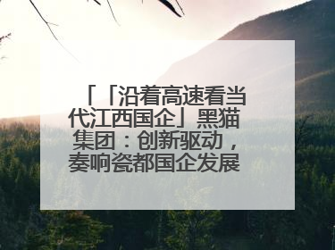 「沿着高速看当代江西国企」黑猫集团：创新驱动，奏响瓷都国企发展新乐章