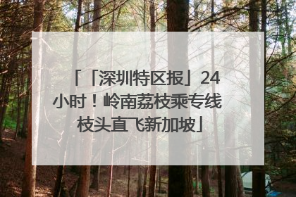 「深圳特区报」24小时！岭南荔枝乘专线 枝头直飞新加坡