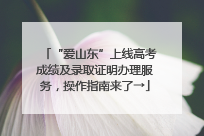 “爱山东”上线高考成绩及录取证明办理服务，操作指南来了→