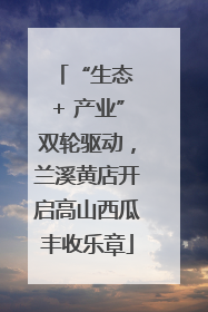 “生态 + 产业”双轮驱动，兰溪黄店开启高山西瓜丰收乐章