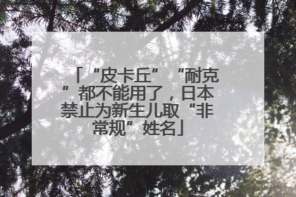 “皮卡丘”“耐克”都不能用了，日本禁止为新生儿取“非常规”姓名