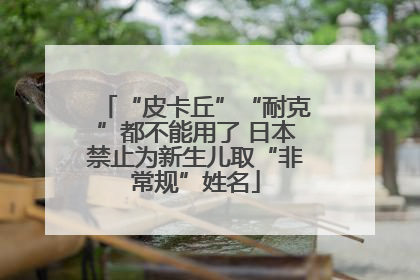 “皮卡丘”“耐克”都不能用了 日本禁止为新生儿取“非常规”姓名
