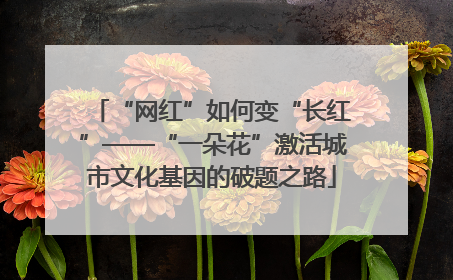 “网红”如何变“长红”——“一朵花”激活城市文化基因的破题之路