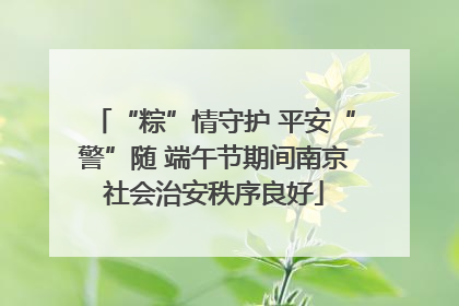 “粽”情守护 平安“警”随 端午节期间南京社会治安秩序良好