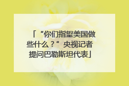 “你们指望美国做些什么？”央视记者提问巴勒斯坦代表
