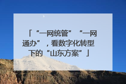 “一网统管”“一网通办”，看数字化转型下的“山东方案”