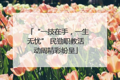 “一技在手，一生无忧” 民勤职教活动周精彩纷呈