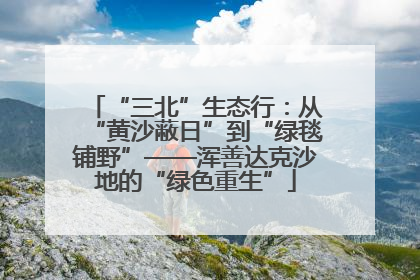 “三北”生态行：从“黄沙蔽日”到“绿毯铺野”——浑善达克沙地的“绿色重生”