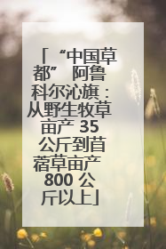 “中国草都” 阿鲁科尔沁旗：从野生牧草亩产 35 公斤到苜蓿草亩产 800 公斤以上