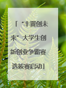 “丰翼创未来”大学生创新创业争霸赛选拔赛启动