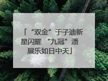 “双金”于子迪新星闪耀 “九冠”潘展乐如日中天
