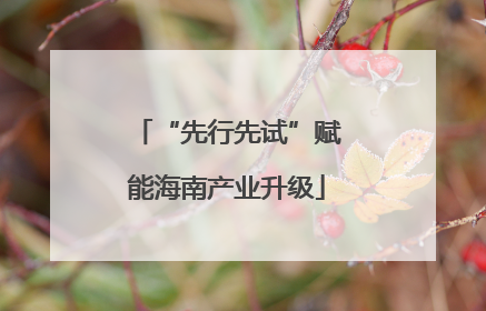 “先行先试”赋能海南产业升级