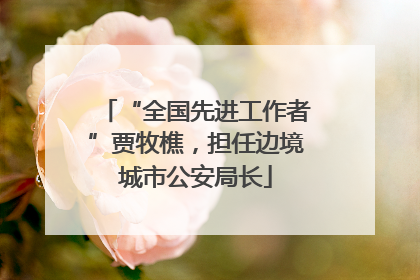“全国先进工作者”贾牧樵，担任边境城市公安局长