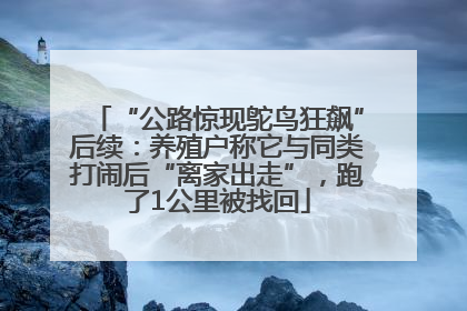 “公路惊现鸵鸟狂飙”后续：养殖户称它与同类打闹后“离家出走”，跑了1公里被找回