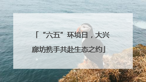 “六五”环境日，大兴廊坊携手共赴生态之约