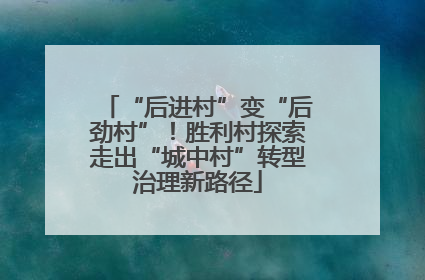 “后进村”变“后劲村”！胜利村探索走出“城中村”转型治理新路径