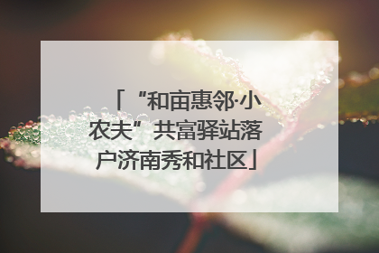 “和亩惠邻·小农夫”共富驿站落户济南秀和社区