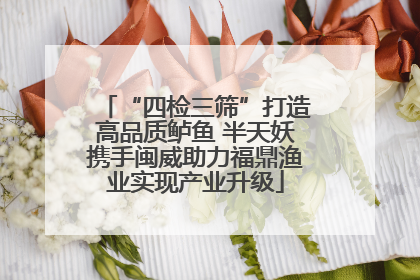 “四检三筛”打造高品质鲈鱼 半天妖携手闽威助力福鼎渔业实现产业升级