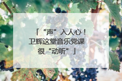 “声”入人心！卫辉这堂音乐党课很“动听”