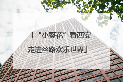 “小葵花”看西安走进丝路欢乐世界