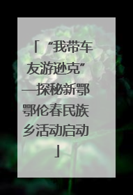 “我带车友游逊克”—探秘新鄂鄂伦春民族乡活动启动