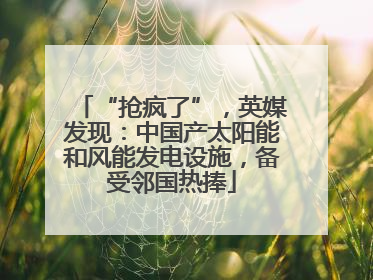 “抢疯了”，英媒发现：中国产太阳能和风能发电设施，备受邻国热捧