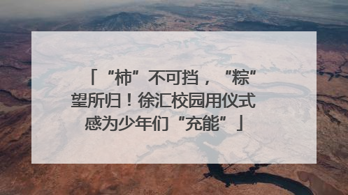 “柿”不可挡，“粽”望所归！徐汇校园用仪式感为少年们“充能”
