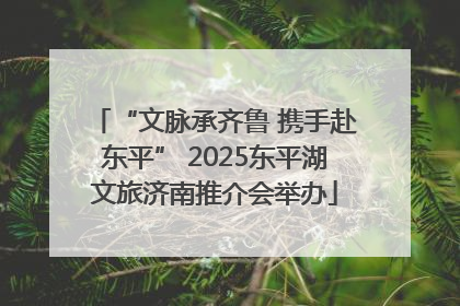 “文脉承齐鲁 携手赴东平” 2025东平湖文旅济南推介会举办