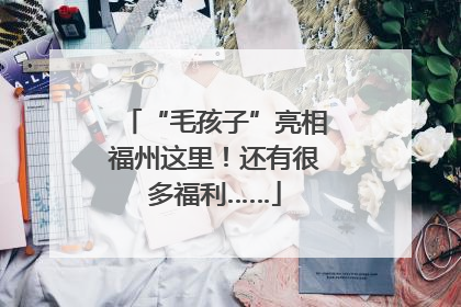 “毛孩子”亮相福州这里！还有很多福利……
