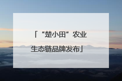 “楚小田”农业生态链品牌发布