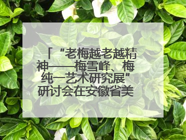 “老梅越老越精神——梅雪峰、梅纯一艺术研究展”研讨会在安徽省美术馆召开