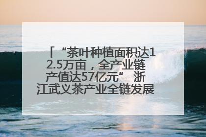 “茶叶种植面积达12.5万亩，全产业链产值达57亿元” 浙江武义茶产业全链发展“加速度”