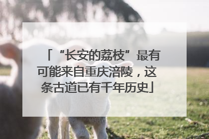 “长安的荔枝”最有可能来自重庆涪陵，这条古道已有千年历史