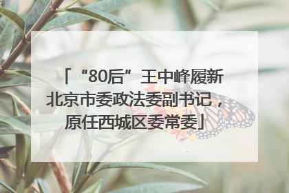 “80后”王中峰履新北京市委政法委副书记，原任西城区委常委