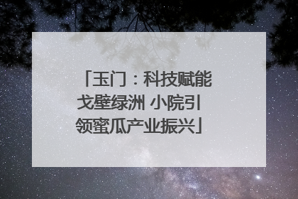 玉门：科技赋能戈壁绿洲 小院引领蜜瓜产业振兴