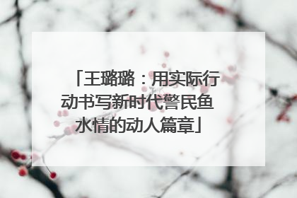 王璐璐：用实际行动书写新时代警民鱼水情的动人篇章