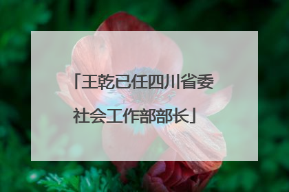 王乾已任四川省委社会工作部部长