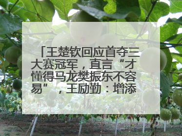 王楚钦回应首夺三大赛冠军，直言“才懂得马龙樊振东不容易”，王励勤：增添很大信心