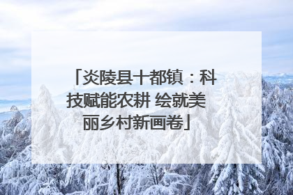 炎陵县十都镇：科技赋能农耕 绘就美丽乡村新画卷