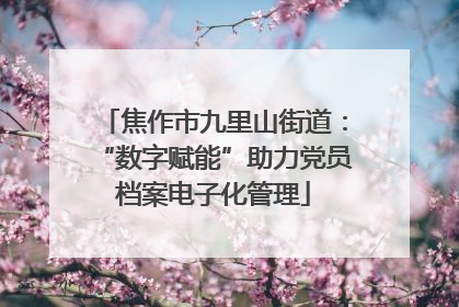 焦作市九里山街道：“数字赋能”助力党员档案电子化管理