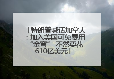 特朗普喊话加拿大：加入美国可免费用“金穹” 不然要花610亿美元