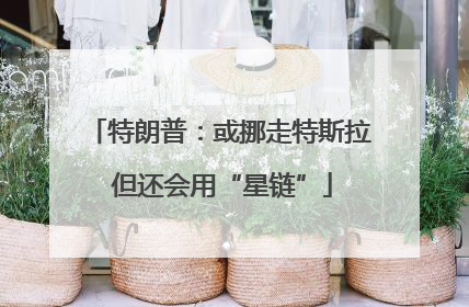 特朗普：或挪走特斯拉 但还会用“星链”