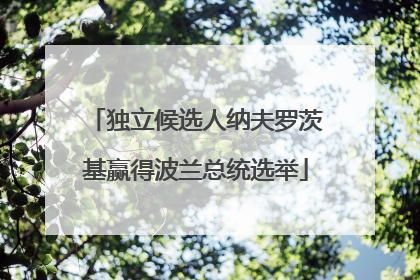 独立候选人纳夫罗茨基赢得波兰总统选举