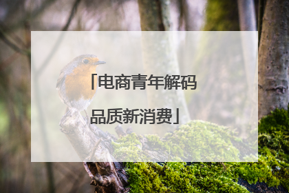 电商青年解码品质新消费